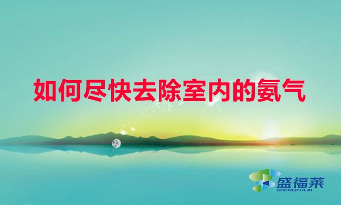 如何盡快去除室內的氨氣