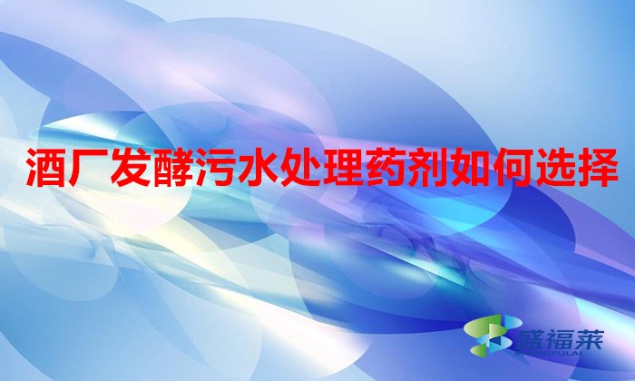 酒廠發酵污水處理藥劑如何選擇（酒廠污水用什么藥劑）