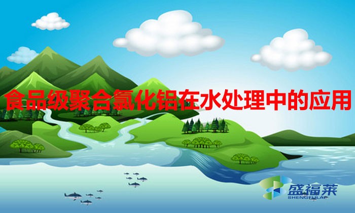 食品級聚合氯化鋁在水處理中的應用與優勢