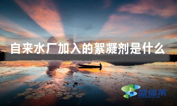 自來(lái)水廠(chǎng)加入的絮凝劑是什么