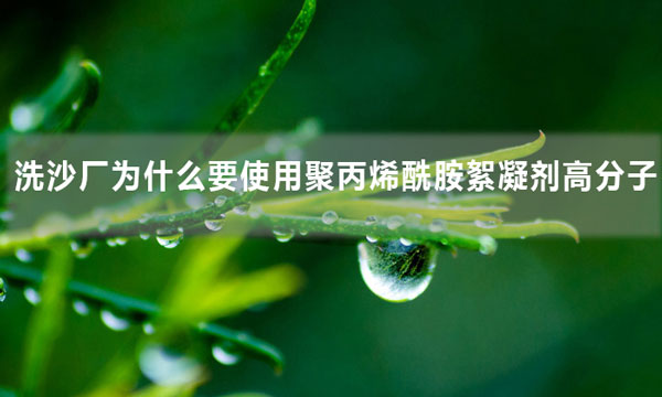 洗沙廠為什么要使用聚丙烯酰胺絮凝劑高分子？