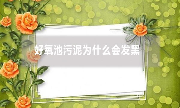 好氧池污泥為什么會發黑?原因及解決辦法