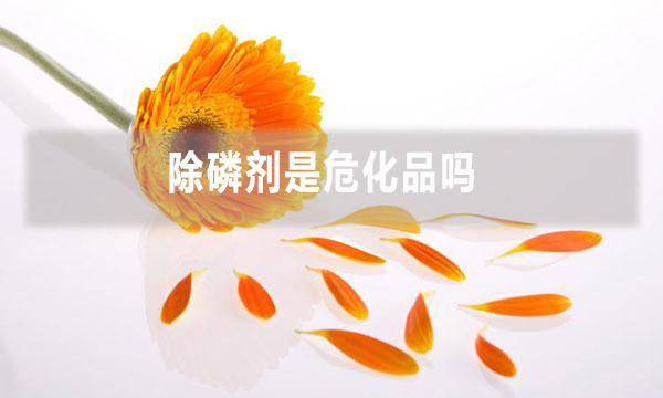 除磷劑是?；穯?></div>
            </a></li>
           

          <li id=