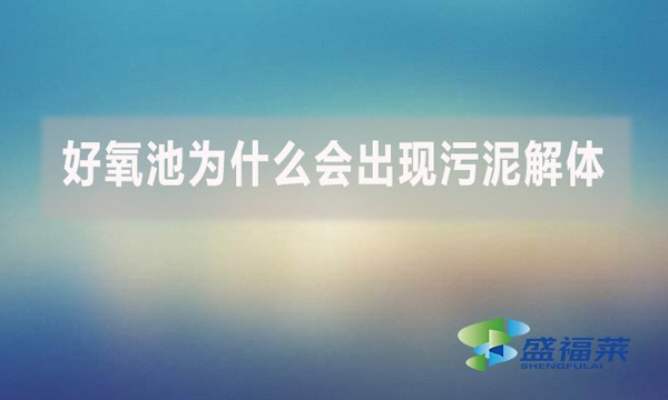 好氧池為什么會出現(xiàn)污泥解體？上清液細碎污泥多是怎么回事？