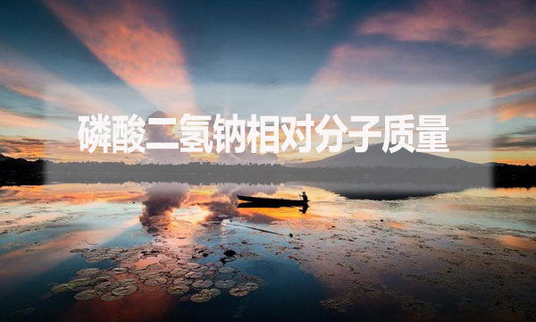 磷酸二氫鈉相對分子質量是什么？應該怎么算？