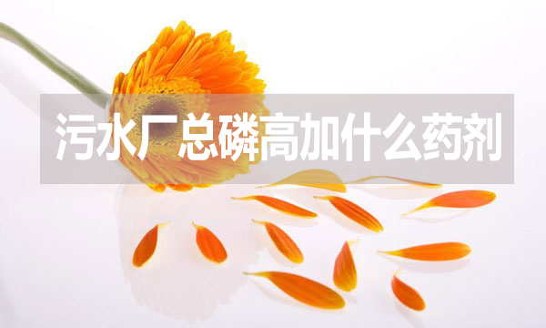 污水廠總磷高加什么藥劑？