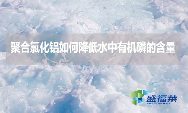 聚合氯化鋁如何降低水中有機磷的含量？